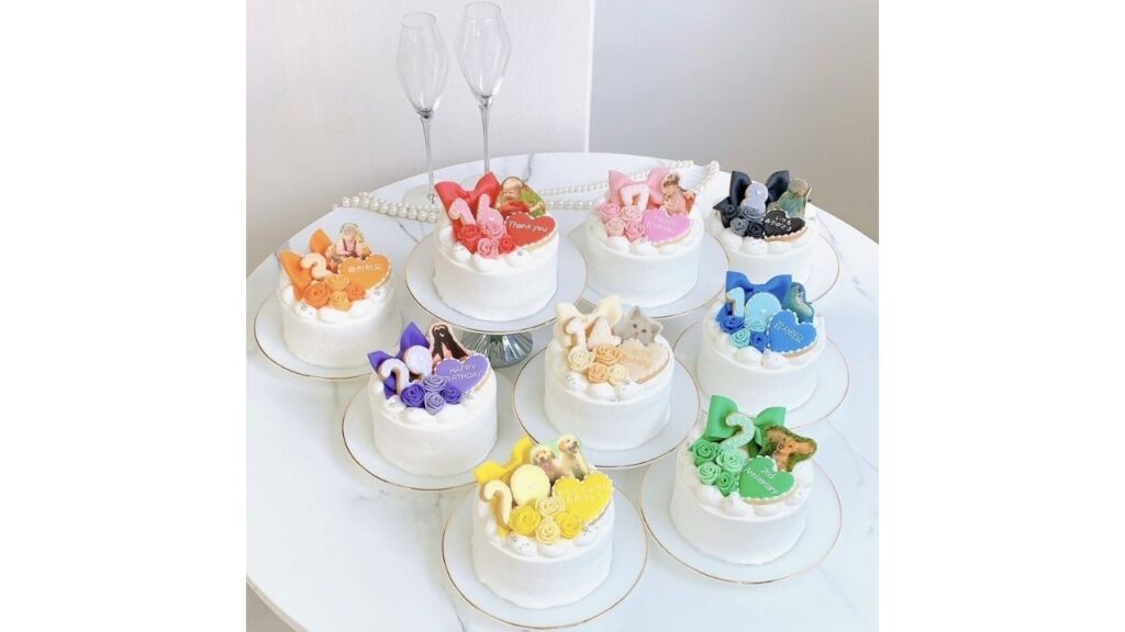 cake.jpのカラーケーキ